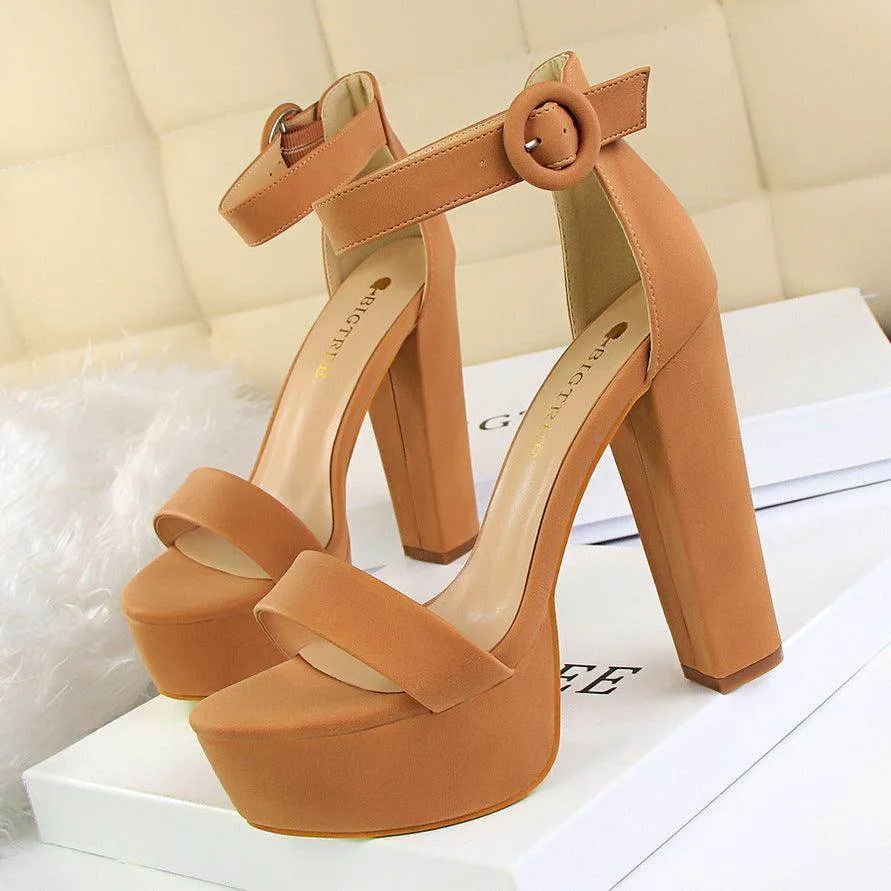 Suede Ankle Strap  Block Heels 550122184120
