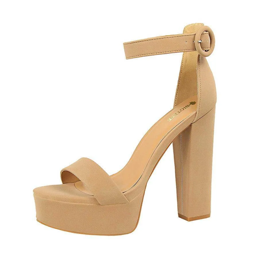 Suede Ankle Strap  Block Heels 550122184120