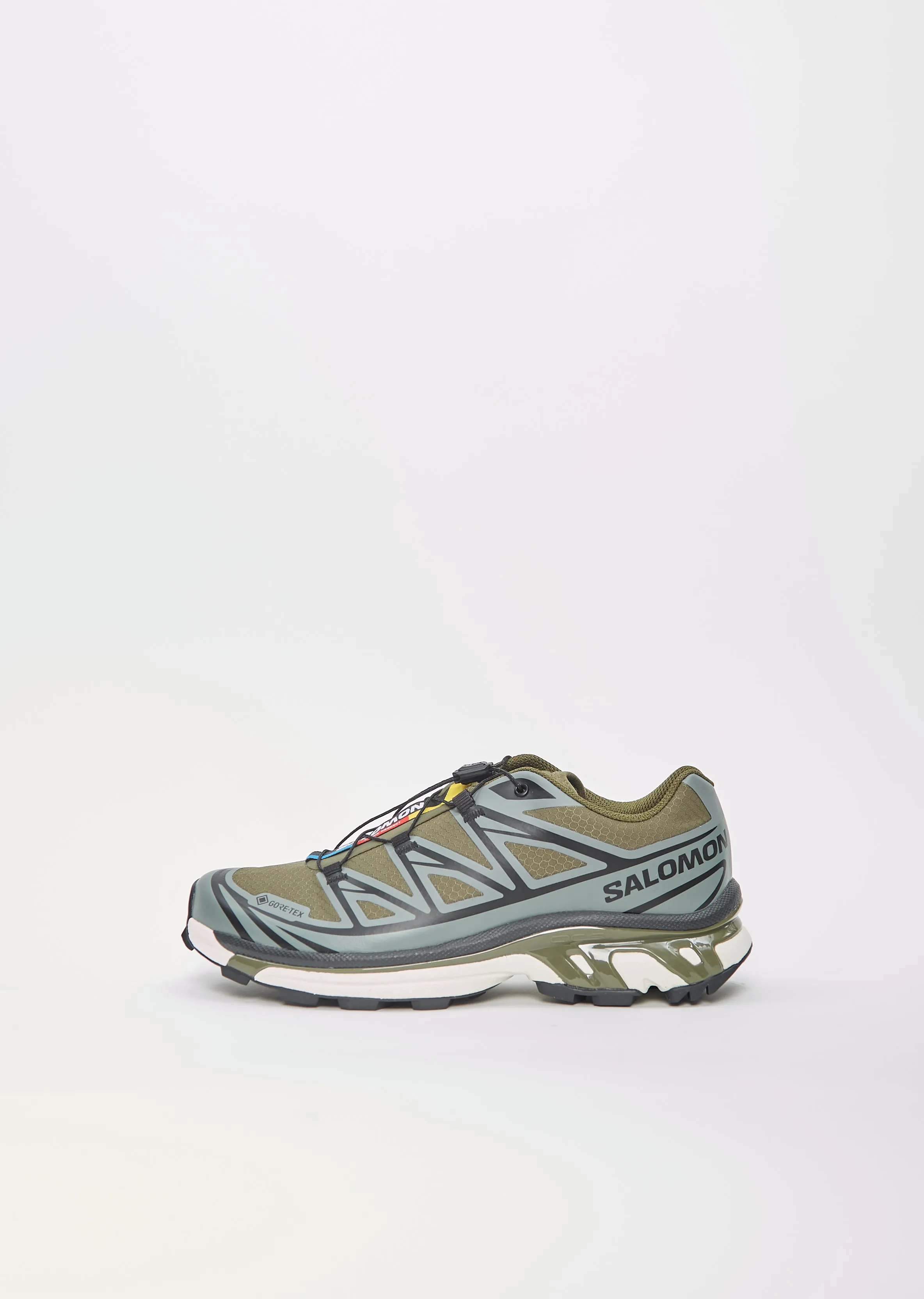 XT-6 GTX  Olive Night/Sedona Sage